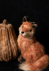 Sisal Sitting Fox