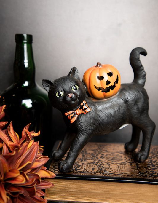 Black Cat with LED Pumpkin