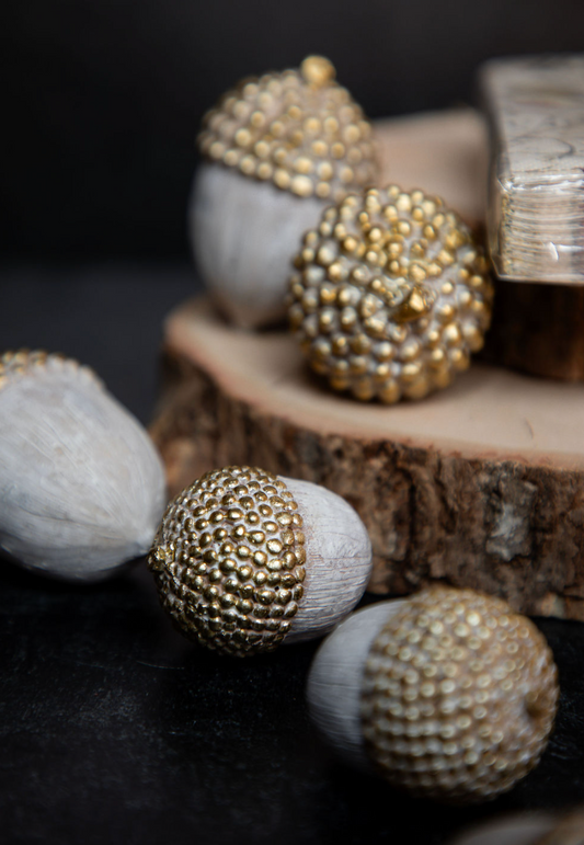 Cream & Gold Acorn