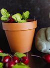 Red Radishes (Bundle of 3)