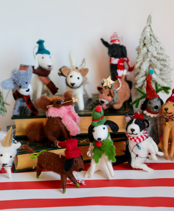 Felt Mutley Crew 2.0