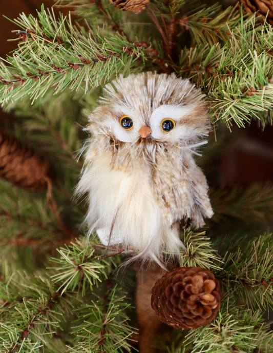 Feathered Horned Owl