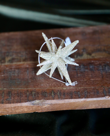 2" 9 Point Champagne Glitter Star Ornament
