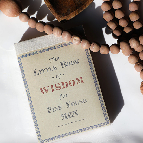The Little Book of Wisdom for Fine Young Men, with vintage styling, and decorative border.