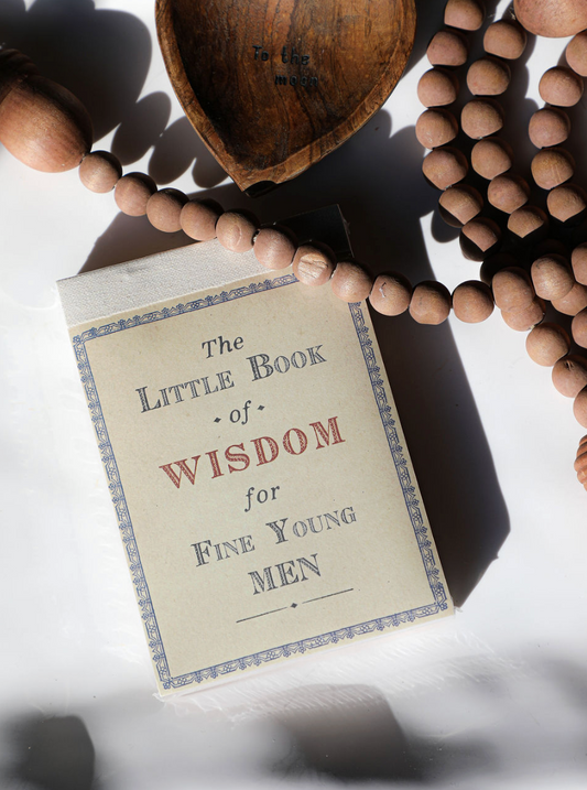 The Little Book of Wisdom for Fine Young Men