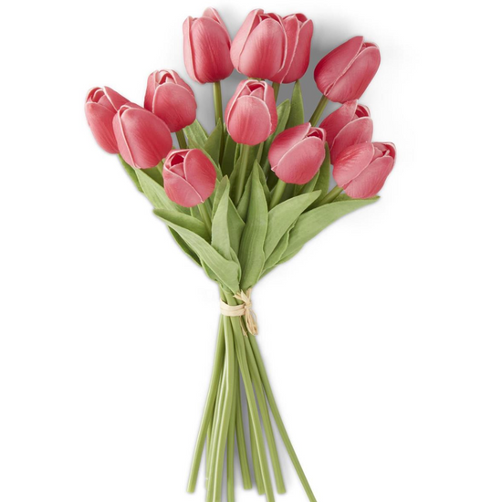 Bouquet of red tulips on a white background