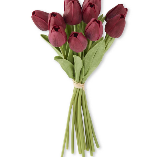 Bouquet of red tulips with green stems on a white background