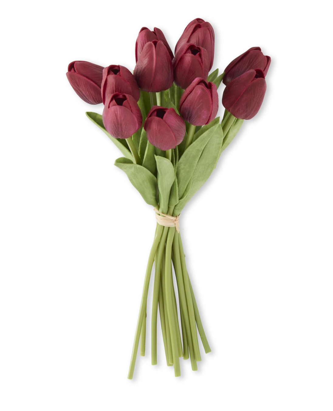 Bouquet of red tulips with green stems on a white background