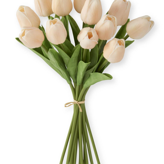 Bouquet of beige tulips on a white background