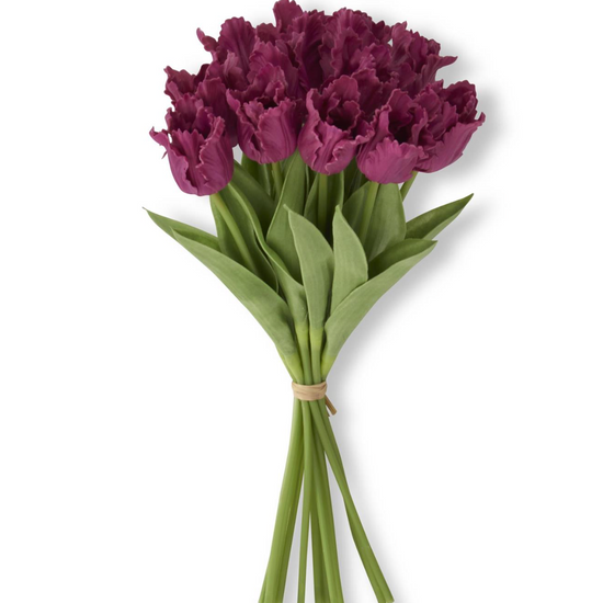 Bouquet of purple tulips with green stems on a white background