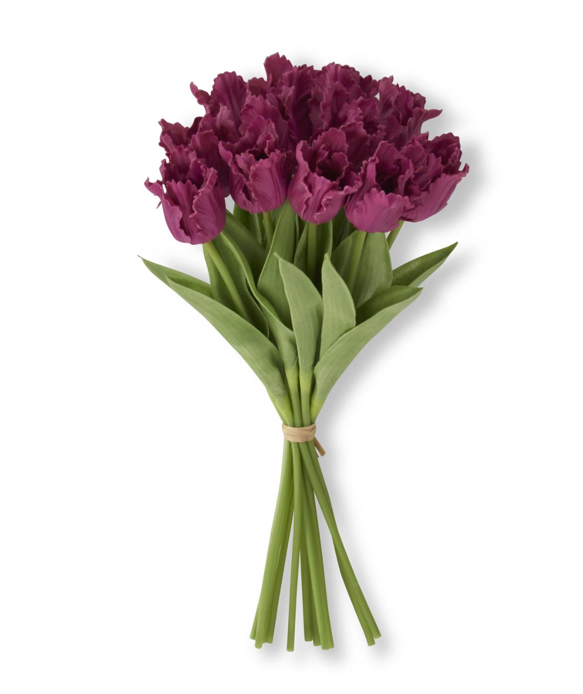 Bouquet of purple tulips with green stems on a white background