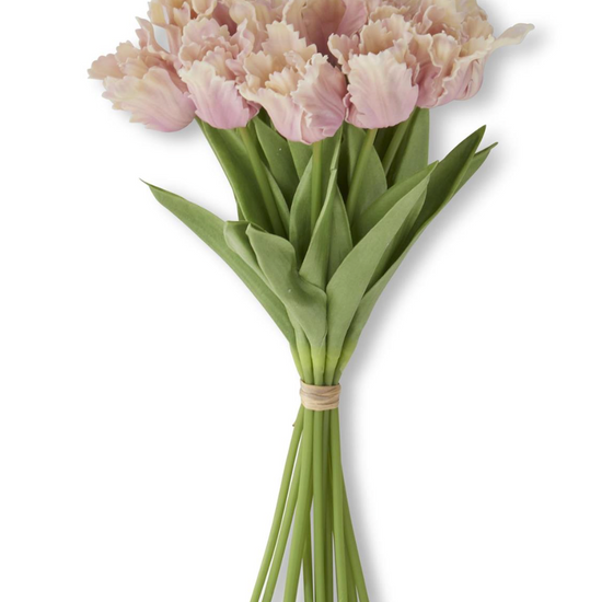 Bouquet of pink tulips with green stems on a white background