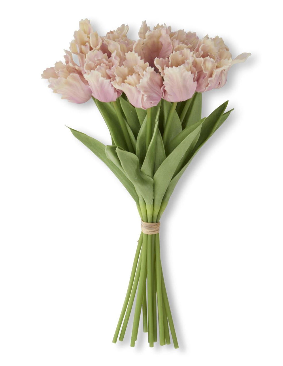 Bouquet of pink tulips with green stems on a white background