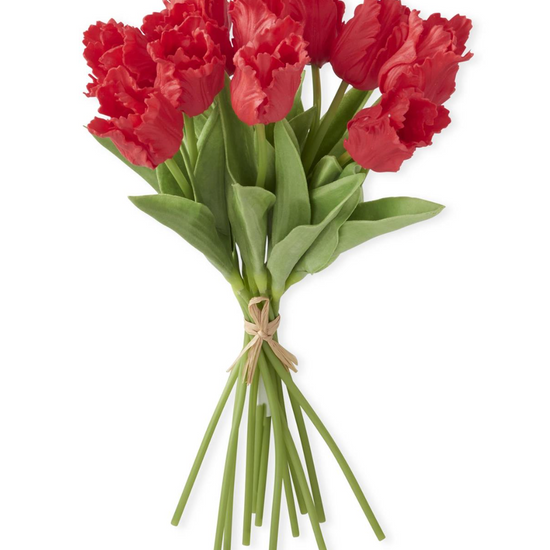 Bouquet of red tulips with green stems on a white background