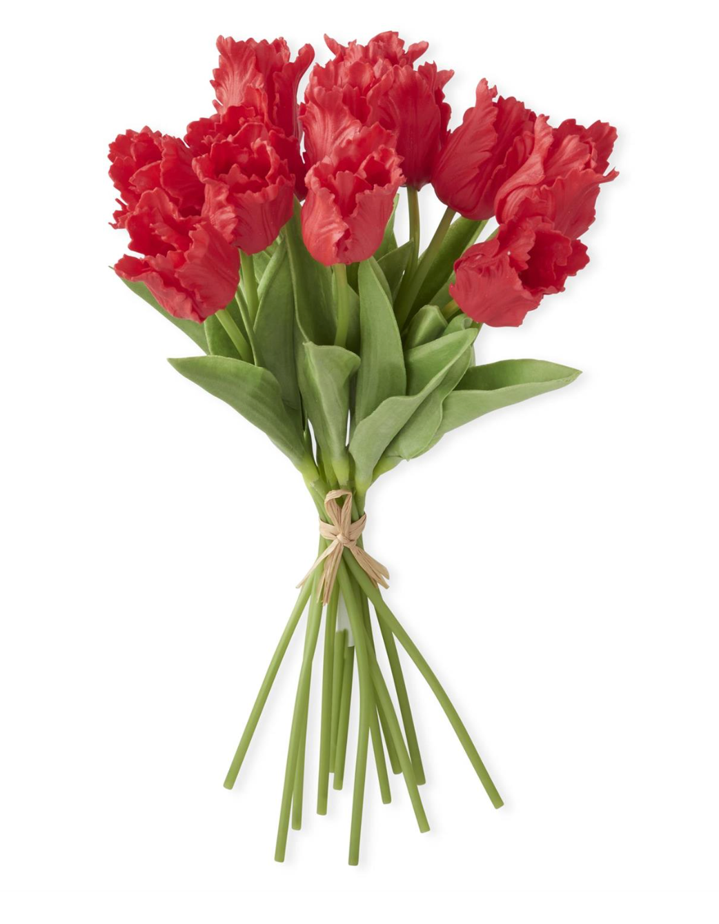 Bouquet of red tulips with green stems on a white background