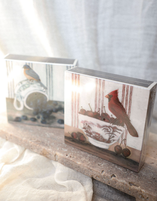 Bird Safety Matches