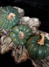 Green Resin Pumpkins