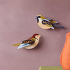 Sparrows