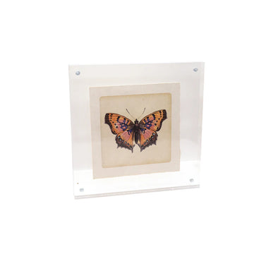 Acrylic Standing Frame 7"x7"