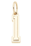 Shiny Gold Number Charm