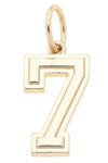 Shiny Gold Number Charm