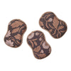 Fall Once Again Home Reusable Sponges