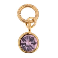 Gold gemstone charm with a purple jewel, textured metal and hanging loop.