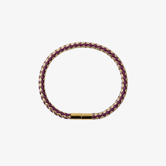 Double Color Braided Bracelet: Double Purple and Gold