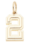 Shiny Gold Number Charm