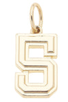 Shiny Gold Number Charm