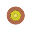 Seedlings Coasters