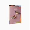 Sparrows
