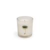 Flora & Fauna Candle