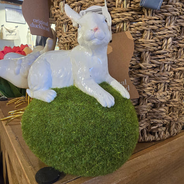 Moss Egg with Rabbit